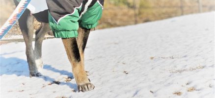 新入生紹介！！３月！！