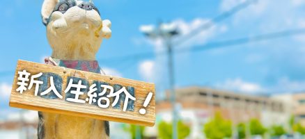 新入生紹介！！