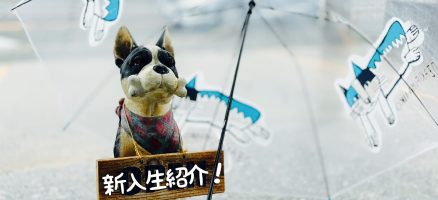 新入生紹介！！