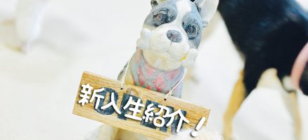 新入生紹介！！